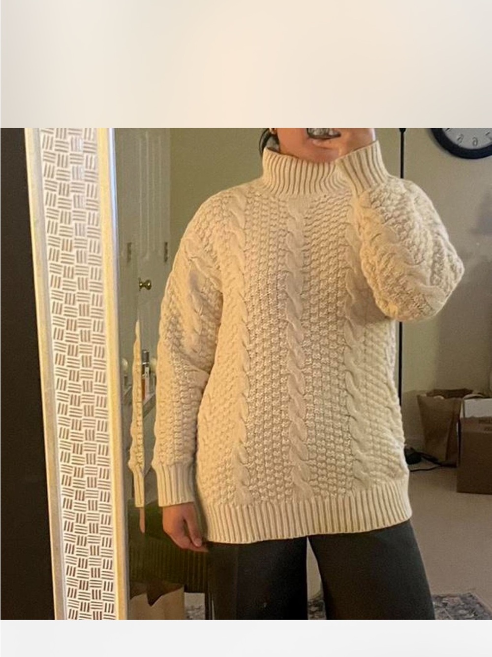 Aritzia Cream Cable Knit Turtleneck Sweater